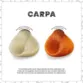 Máscara Pigmentante Carpa Kamaleão Color 150ml