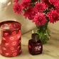Ciclo Deo Colônia Kiss You More Lata 100ml