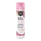 Shampoo Reparação Pós Química Meu Liso Salon Line 300ml