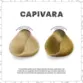 Máscara Pigmentante Capivara Kamaleão Color 100ml