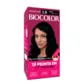 Coloração Permanente 1.0 Preto Biocolor
