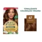 Coloração Sem Amônia Soft Color 67 Chocolate Wella
