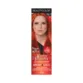 Coloração Individual Beautycolor 76.66 Ruivo Ariel