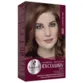 Tonalizante Exclusiv Tom 600 Louro Escuro Haskell