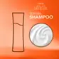 Shampoo Antidanos Solar Defense Amend Expertise 250ml