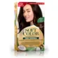 Coloração Sem Amônia Soft Color 30 Castanho Escuro Wella